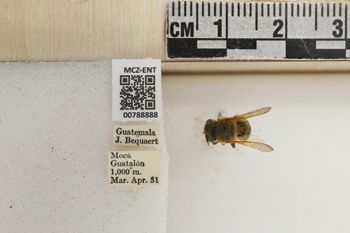 Media type: image;   Entomology 788888 Aspect: Labels